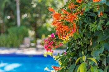 Hotel Colinas Del Sol