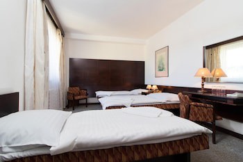 Hotel Merkur