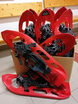 Hotel Birkenhof