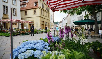 Boardinghouse Bielefeld fotoğrafı