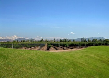 Algodon Wine Estates And Champions Club