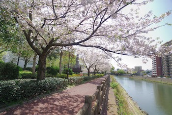 Apa Hotel Kagoshima Chuo Ekimae
