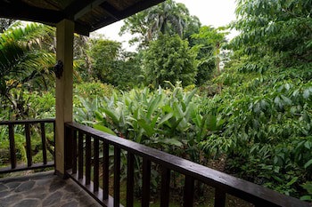 Heliconia Island