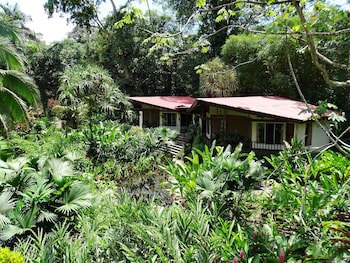 Heliconia Island
