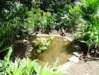 Heliconia Island