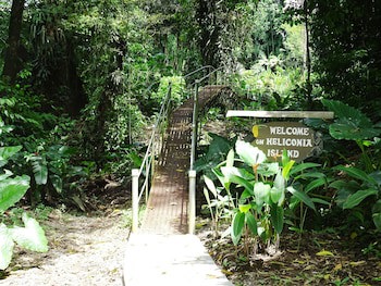 Heliconia Island