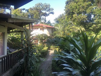 Heliconia Island