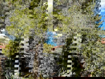 Christys Palace Hotel