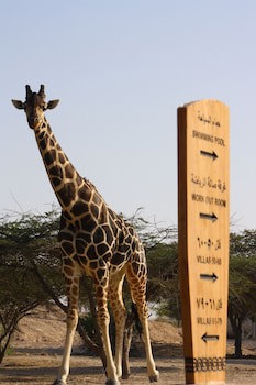 Anantara Al Sahel Villa Resort