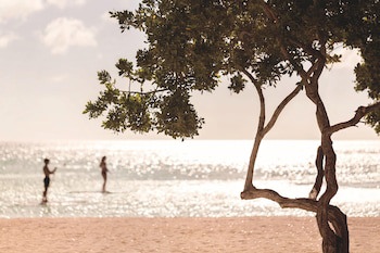 The Ritz-Carlton, Aruba