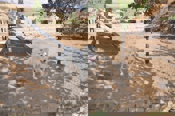 Cappadocia Abras Cave Hotel