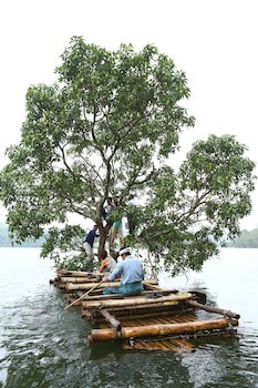 Arayal Resorts: A Unit Of Sharoy Resort, Wayanad