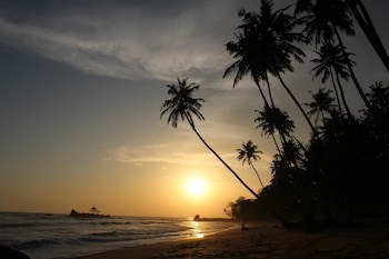 Ankobra Beach Resort
