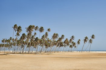 Salalah Gardens Hotel Managed By Safir Hotels & Resorts