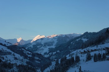 Hotel Dorfer