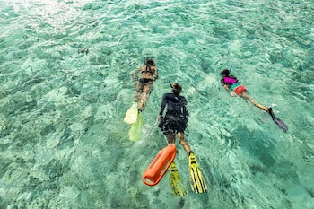 Como Maalifushi