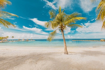 Blue Bay Lodges