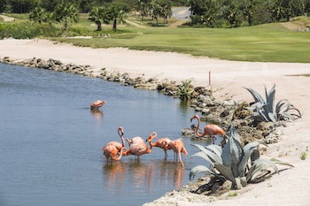 Blue Bay Lodges