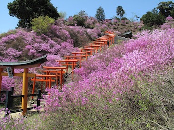 Taikyourou