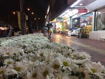 Bangkok Hub Hostel