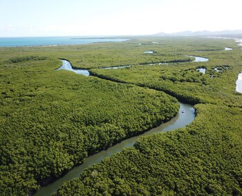 El Morro Eco Adventure Hotel
