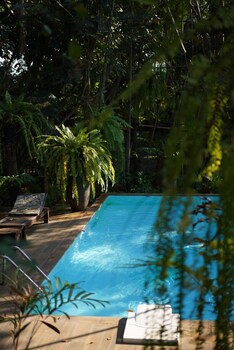 Fern Paradise