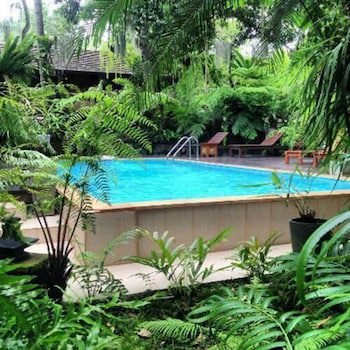 Fern Paradise