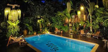Fern Paradise