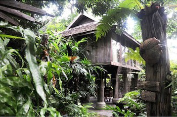Fern Paradise