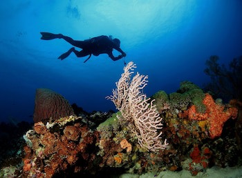 Aruna Senggigi