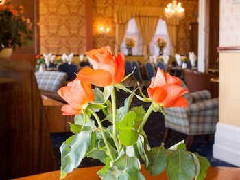 Furzedown Hotel