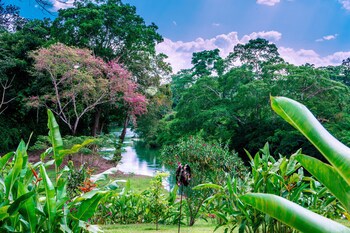 Dream Valley Belize