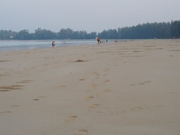 Ocean View Resort