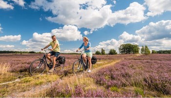 Hotel Landhaus Hopen galeri fotoğrafı