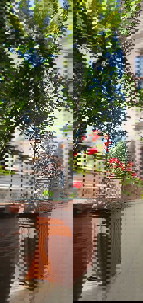 Faikpasha Apartments