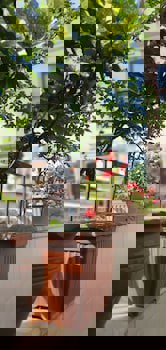 Faikpasha Apartments