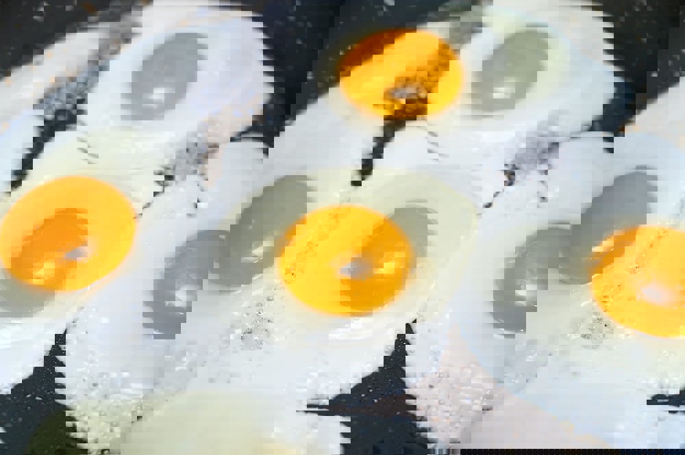 Faikpasha Apartments