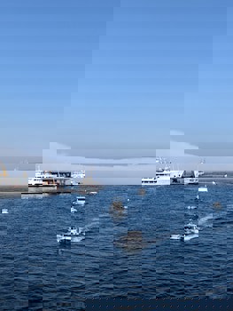 Faikpasha Apartments