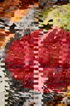 Faikpasha Apartments