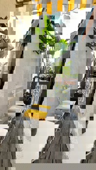 Faikpasha Apartments