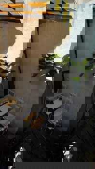 Faikpasha Apartments