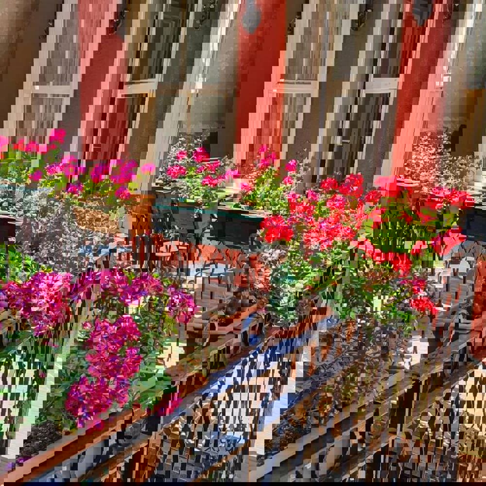 Faikpasha Apartments