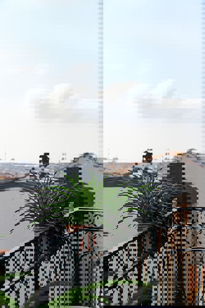 Faikpasha Apartments