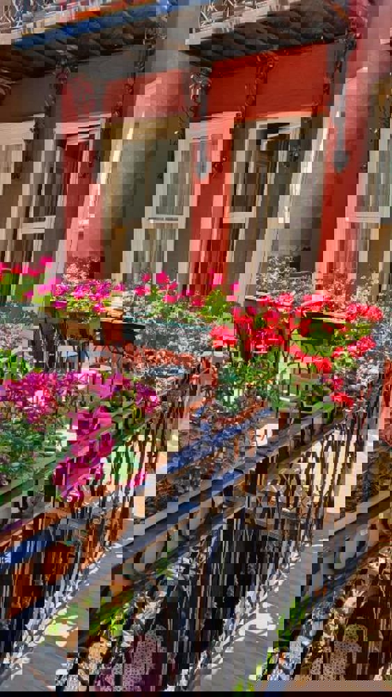 Faikpasha Apartments