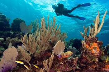Barefoot Cay Resort