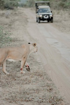 Moditlo River Lodge