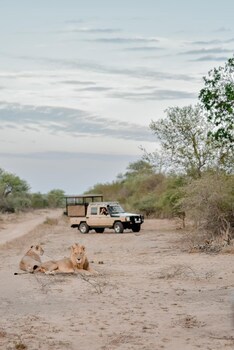 Moditlo River Lodge