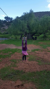 Old Mill Lodge, Working Ostrich Farm & Restaurant, Oudtshoorn
