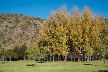 Old Mill Lodge, Working Ostrich Farm & Restaurant, Oudtshoorn