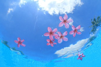 Coco Garden Resort Okinawa